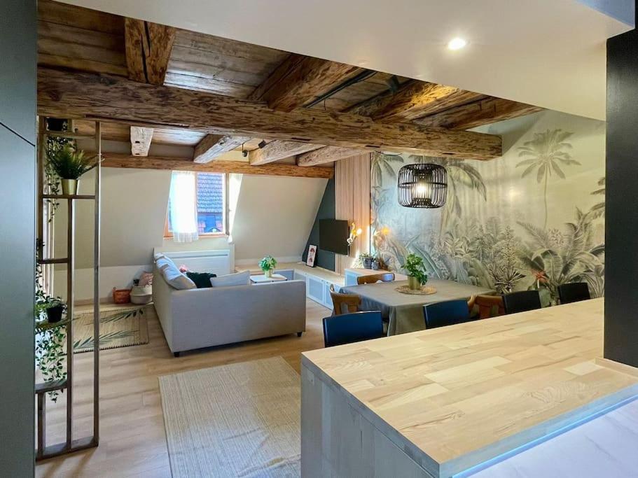 Apartmán L'Eden Du Vignoble - Centre Historique De Barr Exteriér fotografie
