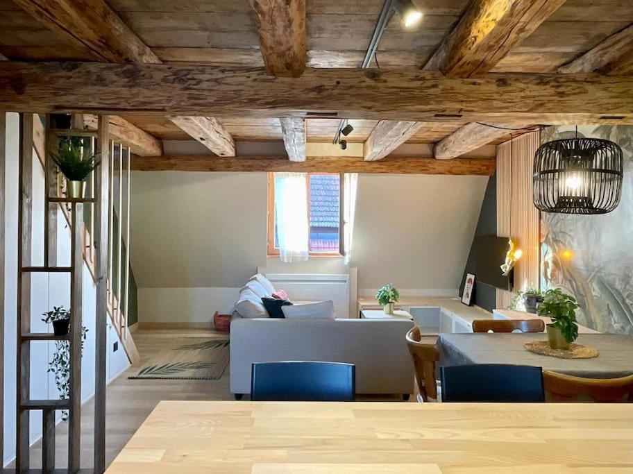 Apartmán L'Eden Du Vignoble - Centre Historique De Barr Exteriér fotografie