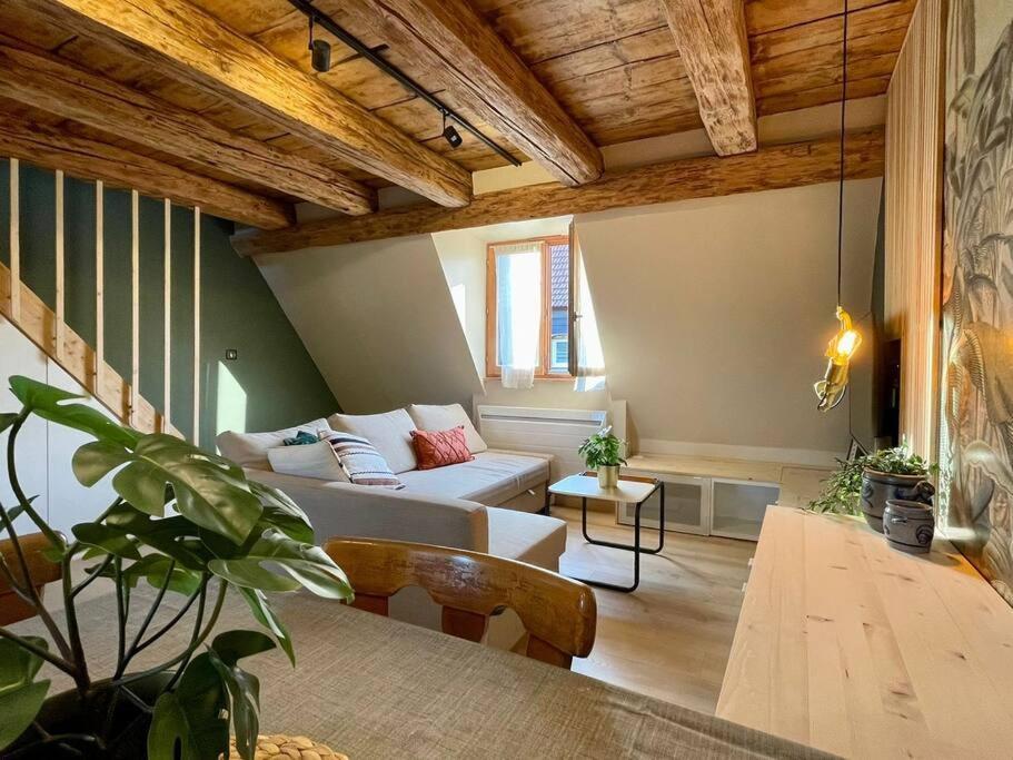 Apartmán L'Eden Du Vignoble - Centre Historique De Barr Exteriér fotografie